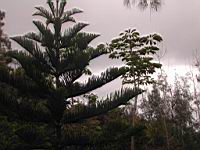 DSCN0504.JPG