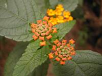 DSCN0506.JPG