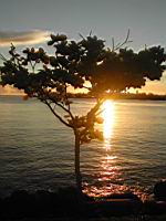 DSCN0614.JPG