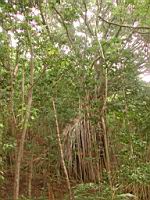 DSCN0655.JPG