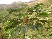 DSCN0660.JPG