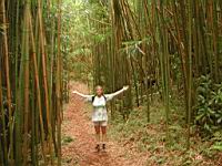 DSCN0663.JPG