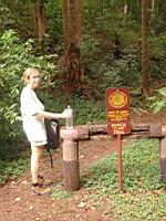 DSCN0665.JPG