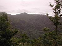 DSCN0669.JPG