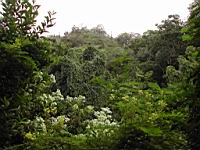DSCN0697.JPG