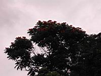 DSCN0700.JPG