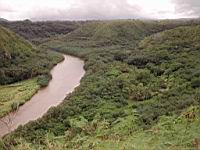 DSCN0729.JPG