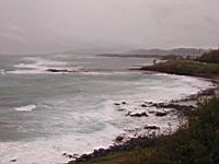 DSCN0747.JPG