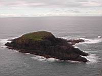 DSCN0764.JPG