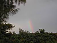 DSCN0772.JPG