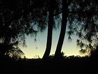 DSCN0783.JPG