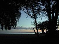 DSCN0785.JPG