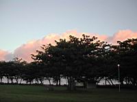 DSCN0791.JPG
