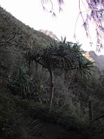 DSCN0820.JPG