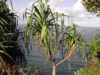 DSCN0826.JPG