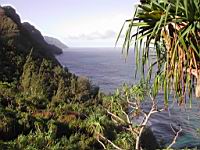 DSCN0827.JPG