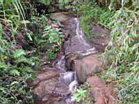 DSCN0828.JPG