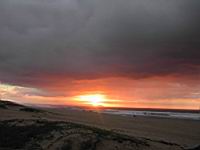 DSCN0871.JPG