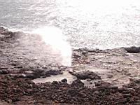 DSCN0890.JPG