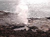 DSCN0891.JPG