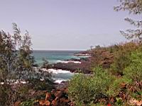 DSCN0892.JPG