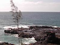 DSCN0893.JPG