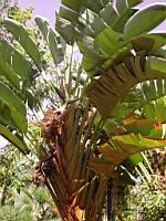 DSCN0897.JPG