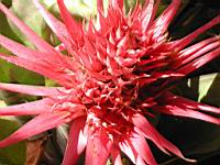 DSCN0899.JPG