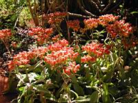 DSCN0904.JPG