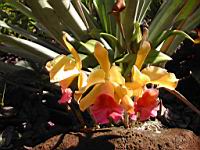 DSCN0905.JPG