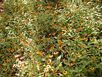 DSCN0909.JPG