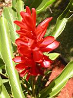 DSCN0911.JPG