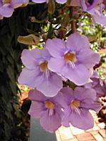 DSCN0912.JPG
