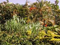 DSCN0915.JPG