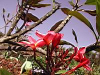 DSCN0918.JPG