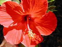 DSCN0921.JPG
