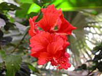 DSCN0923.JPG