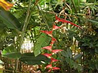 DSCN0925.JPG