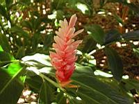 DSCN0926.JPG