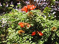 DSCN0928.JPG