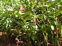 DSCN0931.JPG