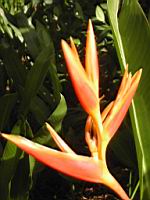 DSCN0933.JPG