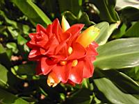 DSCN0935.JPG
