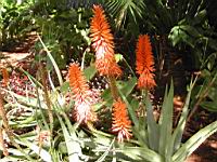 DSCN0939.JPG
