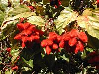 DSCN0940.JPG