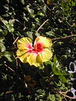 DSCN0942.JPG