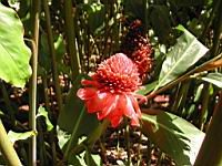 DSCN0944.JPG