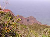 DSCN0986.JPG