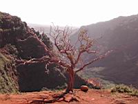 DSCN1044.JPG
