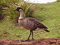 DSCN1060.JPG
